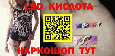 apvp Славгород