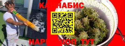 apvp Славгород