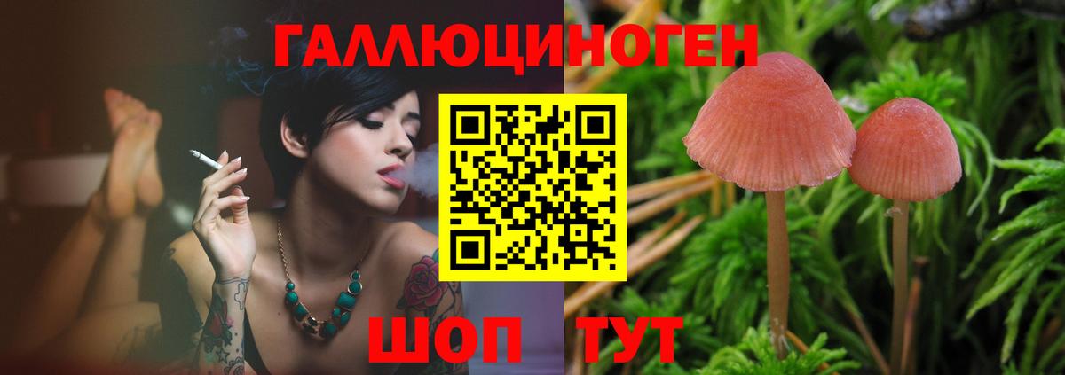 Донецк  Псилоцибиновые грибы MAGIC MUSHROOMS  Вход с VPN  Псилоцибиновые грибы прущие грибы 